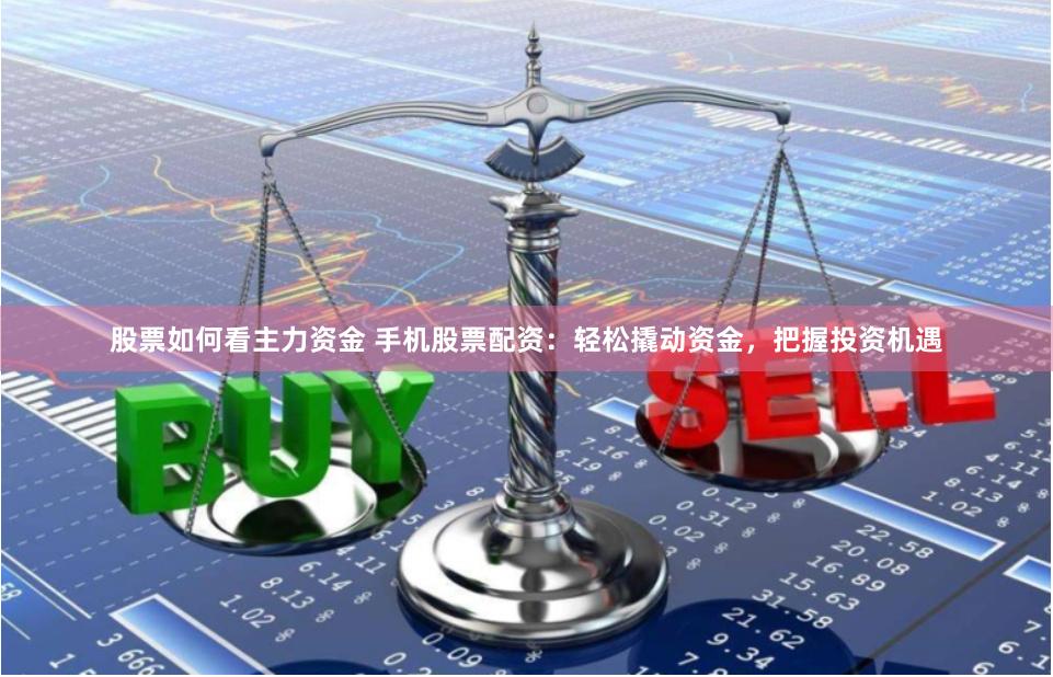 股票如何看主力资金 手机股票配资：轻松撬动资金，把握投资机遇