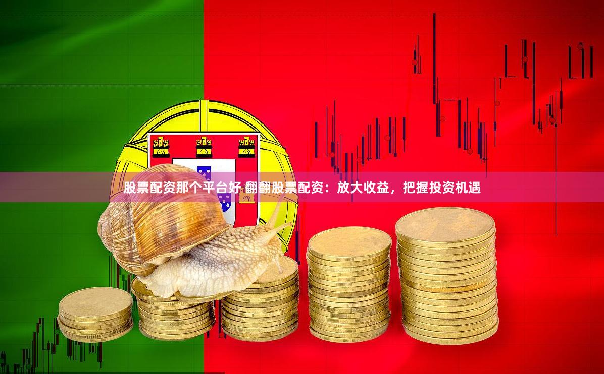 股票配资那个平台好 翻翻股票配资：放大收益，把握投资机遇