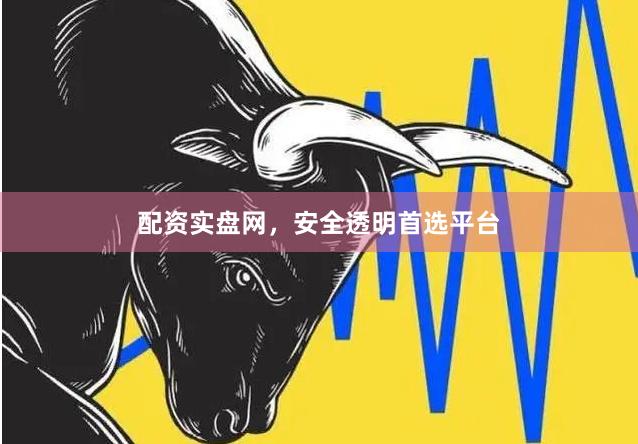 配资实盘网，安全透明首选平台