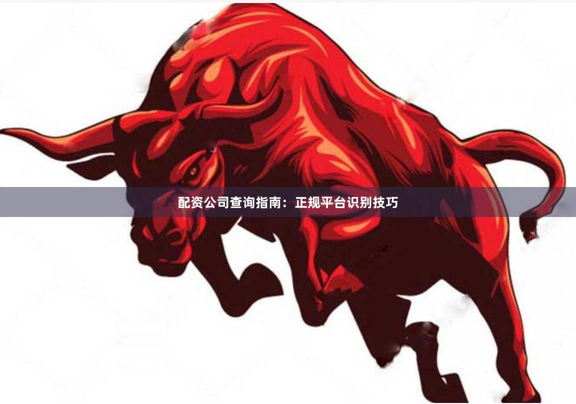 配资公司查询指南：正规平台识别技巧