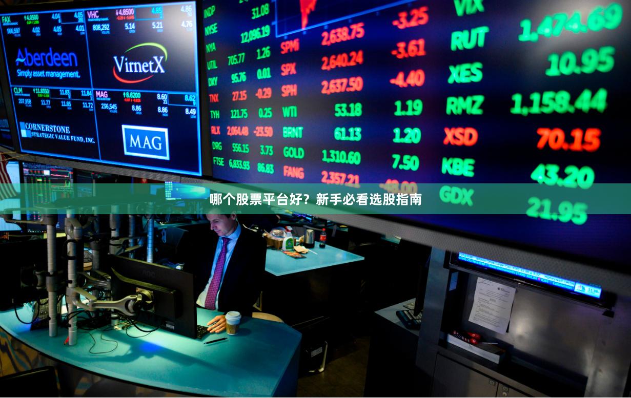 哪个股票平台好？新手必看选股指南